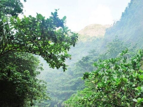 Health Matters: A Whole New Life