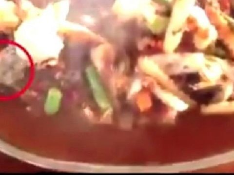 В тайском ресторане посетителю подали суп с опарышами