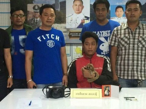 Phuket police arrest Loris thug