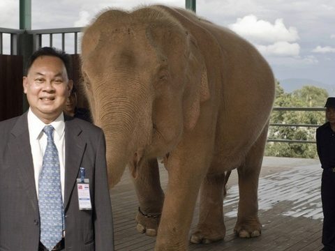 Myanmar finds rare white elephant: state media