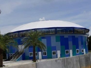 Setback for Phuket Dolphinarium: Venue Ruled Too Warm for Dolphins and Audience