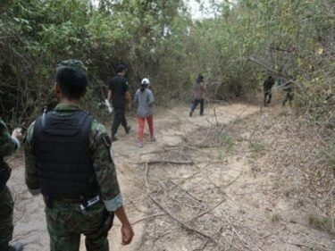 Phuket Mangrove Plantings Picked Clean by Property 'Owner'