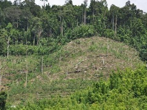 111,000 rai of land to be allocated to the poor