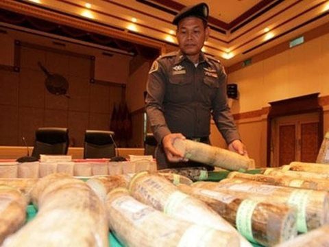 Malaysian, Thai arrested for ivory smuggling