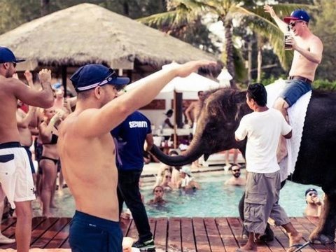 Nikki Beach Club пообещал не эксплуатировать слонов