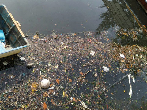 The stink is back in Phuket’s Klong Bangtao: VIDEO