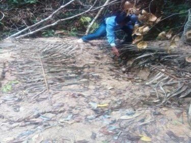 Second Thai Jungle Hellcamp Contains  More Bodies, Villagers Tell Searchers