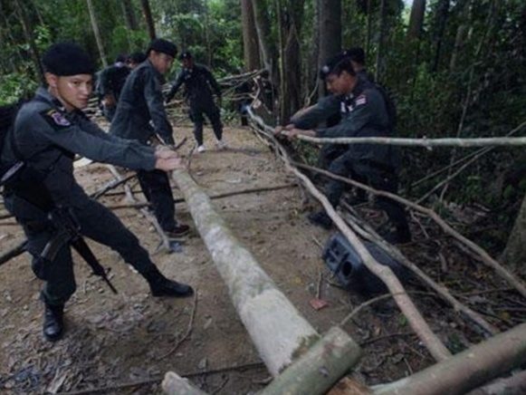 Jungle search continues for Rohingya death camps